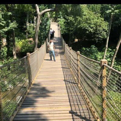 @sooo0ooommaaa - See Tweets, Replies, Photos And Videos From @sooo0ooommaaa Twitter Profile.