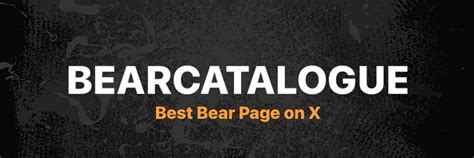 Bearcatalogue - Days Ago Bear Catalogue 🐻 300k Dm For Promo @bearcatalogue.