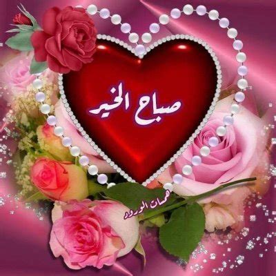 Samytfwzy - سامية فوزي @samytfwzy هو انا حلوه يجماعه ولا وحشه زي ما قالو؟؟.